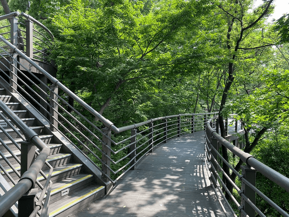 namsan-1.png