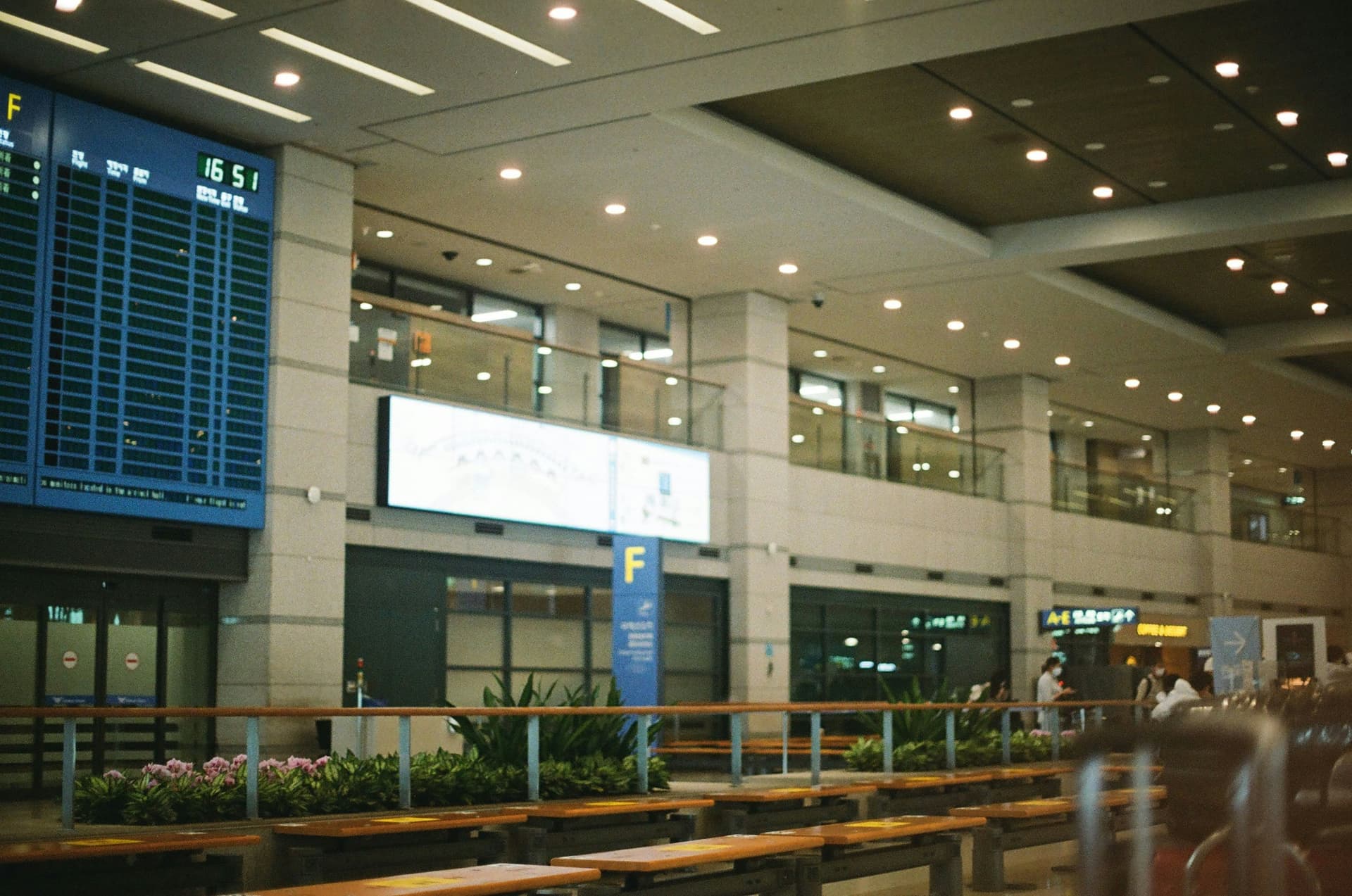 viza-v-koreyu-v-2026-godu.jpg